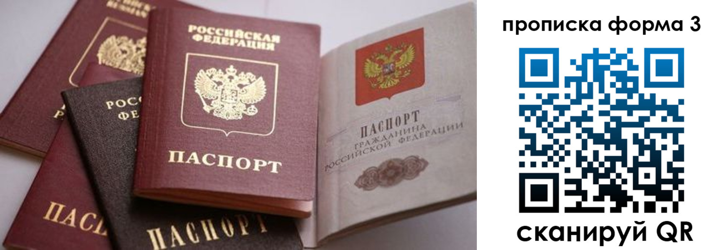 прописка для школы в Феодосии
